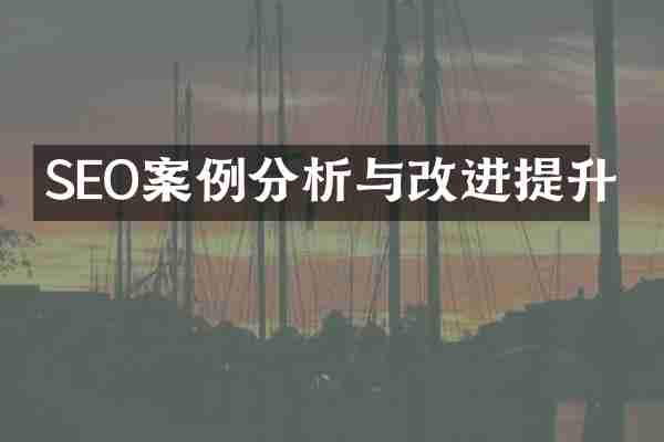 SEO案例分析与改进提升