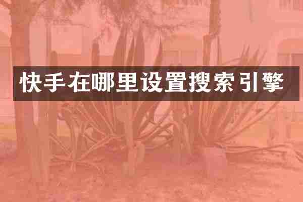 快手在哪里设置搜索引擎