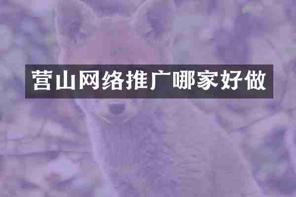 营山网络推广哪家好做