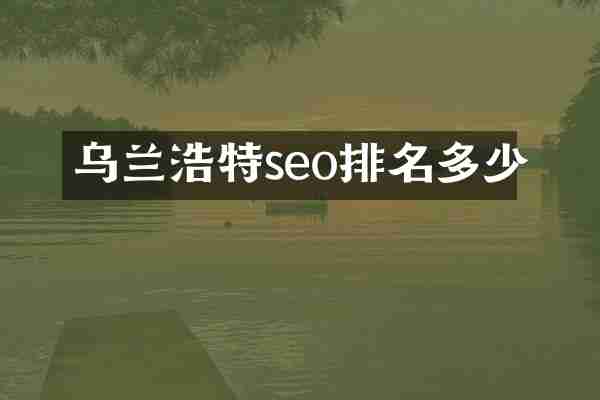 乌兰浩特seo排名多少