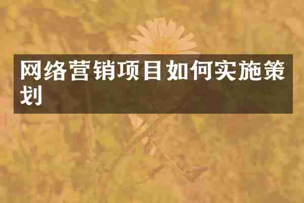 网络营销项目如何实施策划