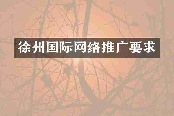 徐州国际网络推广要求