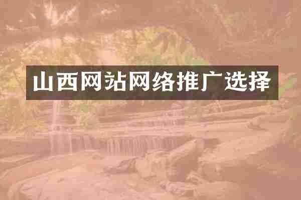 山西网站网络推广选择