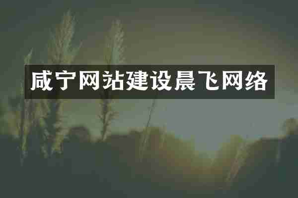 咸宁网站建设晨飞网络