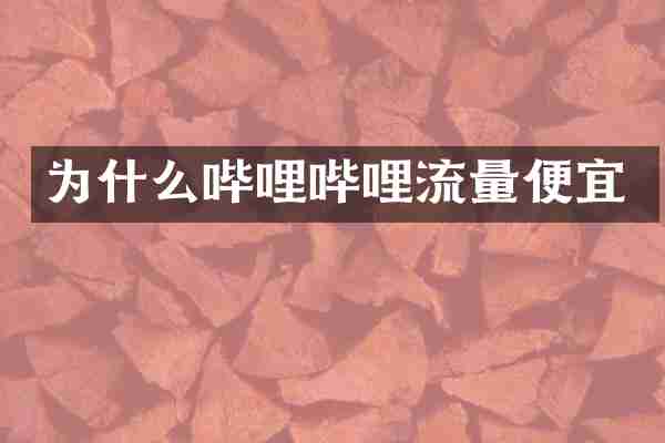 为什么哔哩哔哩流量便宜