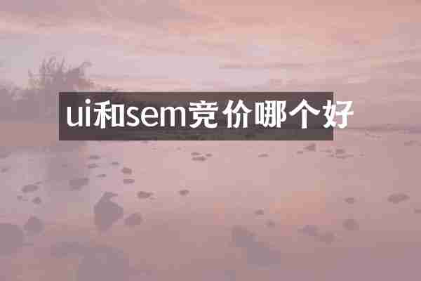 ui和sem竞价哪个好