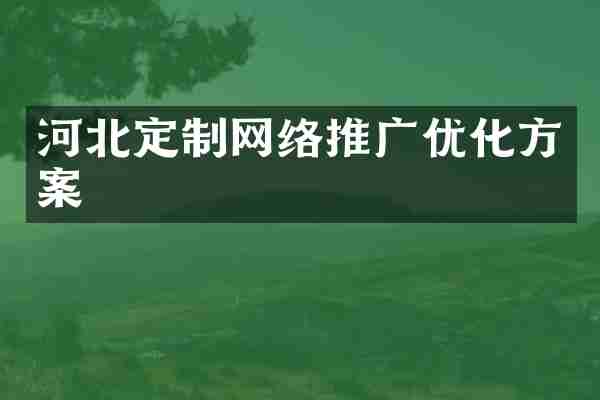 河北定制网络推广优化方案