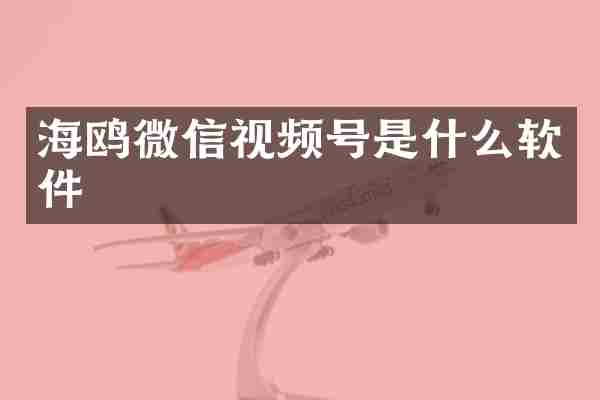 海鸥微信视频号是什么软件