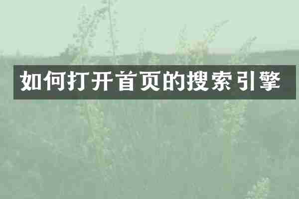 如何打开首页的搜索引擎