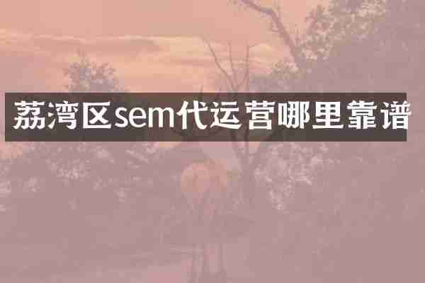 荔湾区sem代运营哪里靠谱