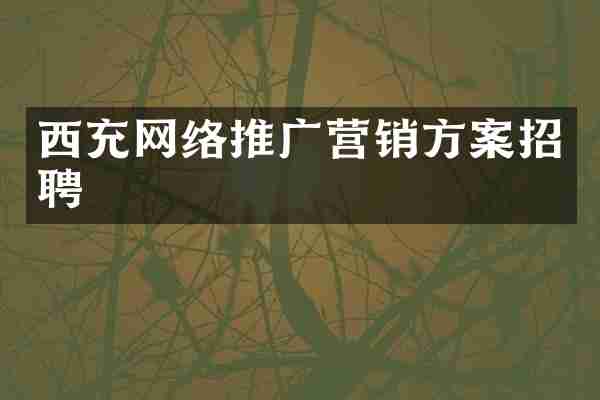 西充网络推广营销方案招聘