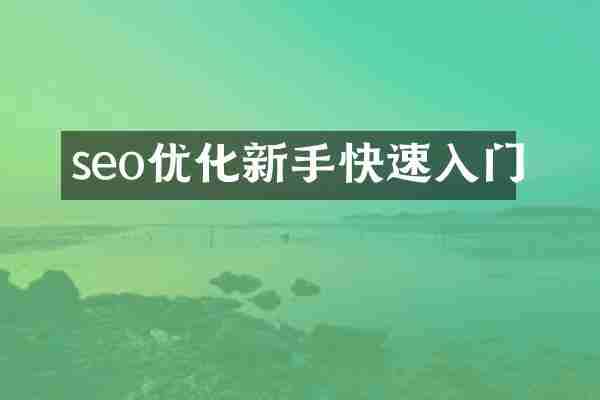 seo优化新手快速入门