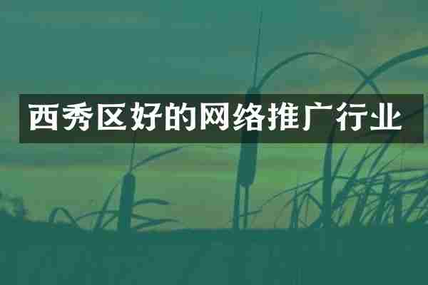 西秀区好的网络推广行业