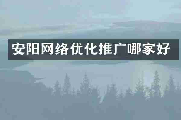 安阳网络优化推广哪家好