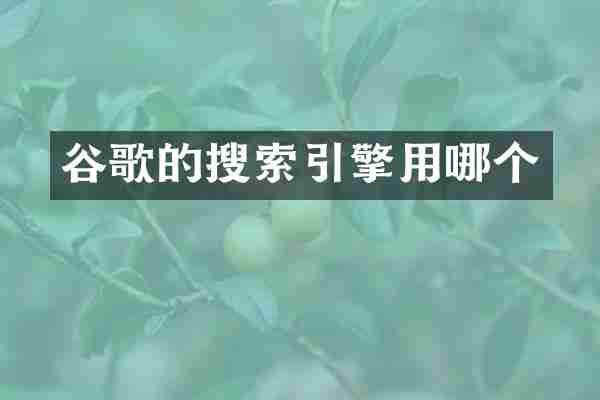 谷歌的搜索引擎用哪个
