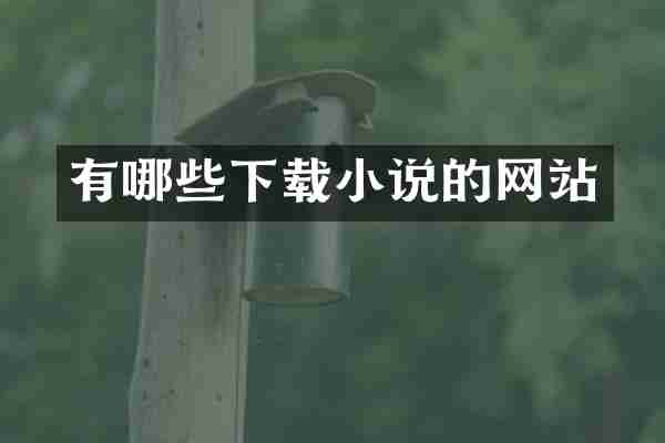 有哪些下载小说的网站