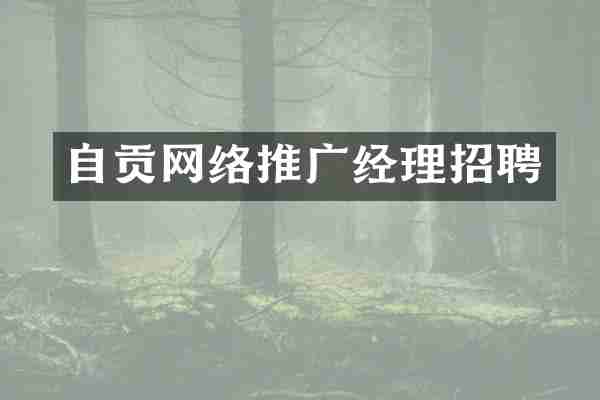 自贡网络推广经理招聘