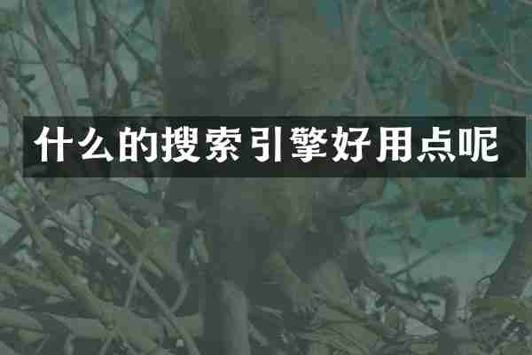 什么的搜索引擎好用点呢