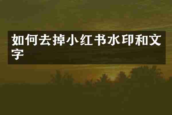 如何去掉小红书水印和文字