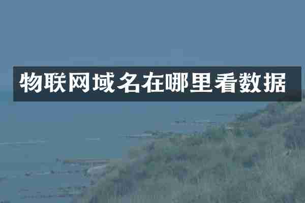 物联网域名在哪里看数据