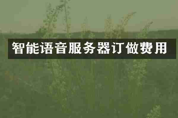 智能语音服务器订做费用