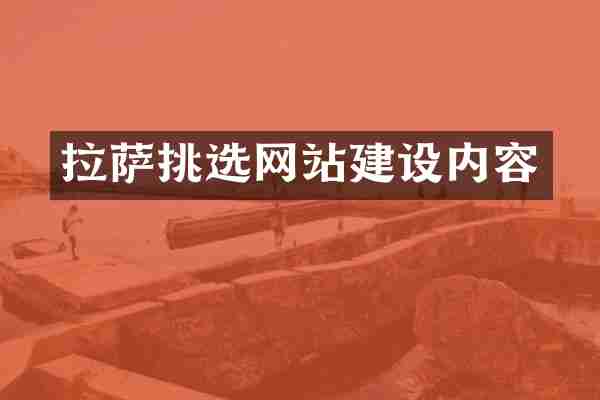拉萨挑选网站建设内容