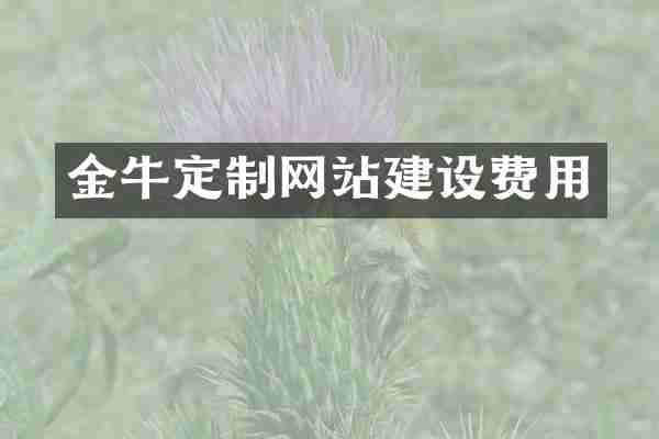金牛定制网站建设费用