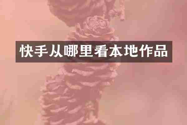 快手从哪里看本地作品