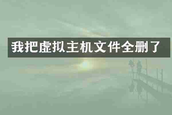 我把虚拟主机文件全删了