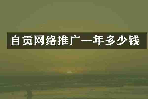 自贡网络推广一年多少钱