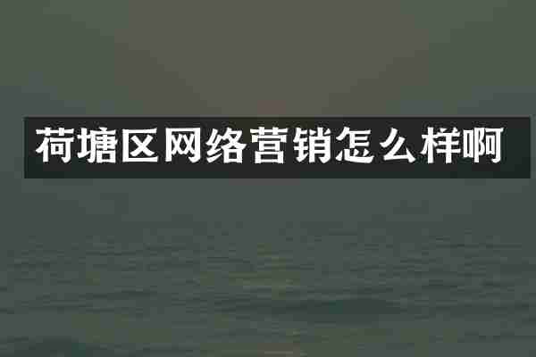 荷塘区网络营销怎么样啊