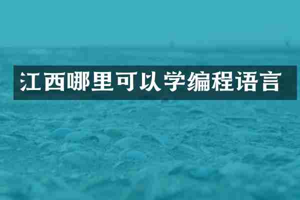 江西哪里可以学编程语言