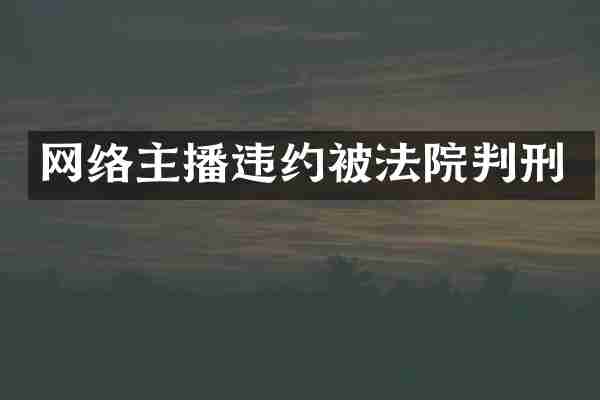网络主播违约被法院判刑