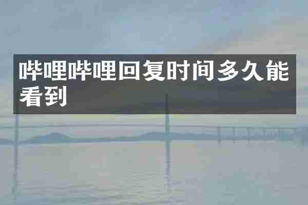哔哩哔哩回复时间多久能看到