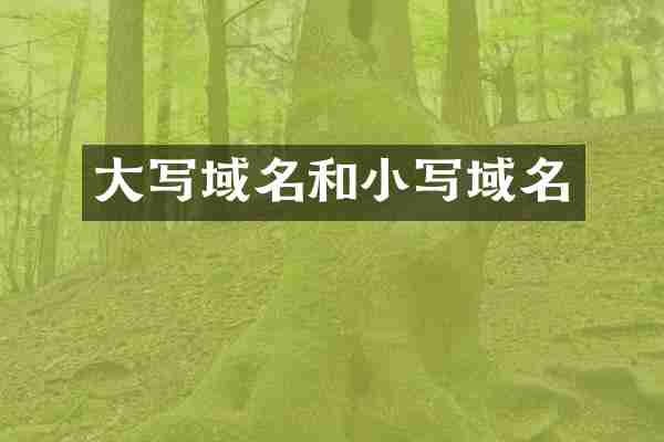 大写域名和小写域名
