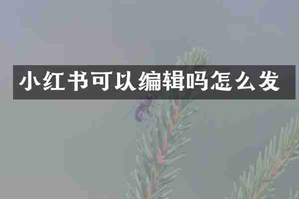 小红书可以编辑吗怎么发