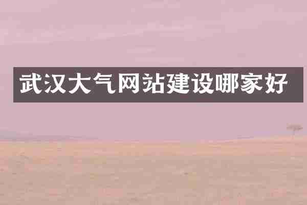 武汉大气网站建设哪家好