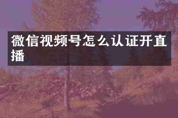 微信视频号怎么认证开直播