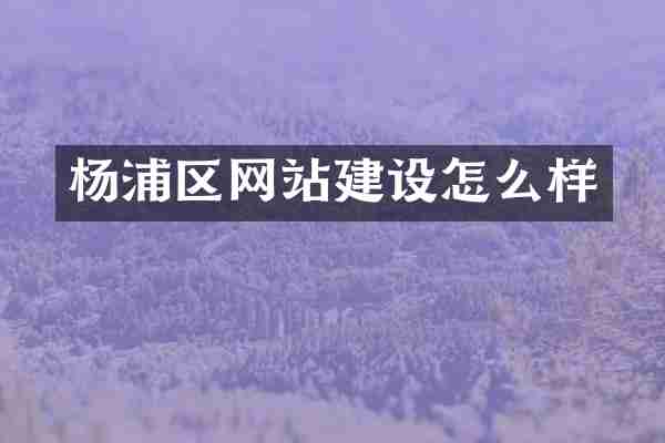 杨浦区网站建设怎么样