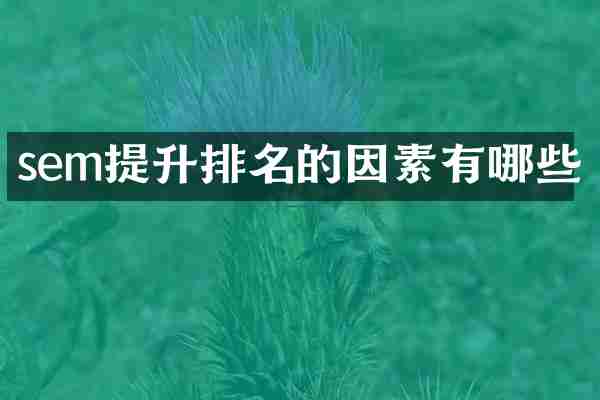 sem提升排名的因素有哪些
