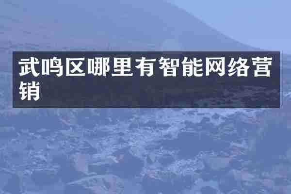 武鸣区哪里有智能网络营销