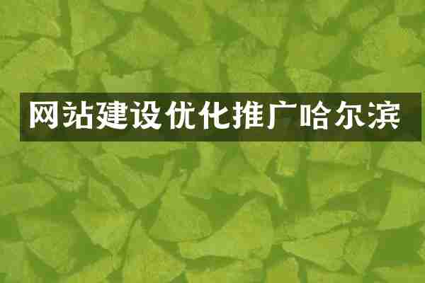 网站建设优化推广哈尔滨