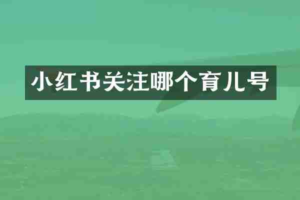 小红书关注哪个育儿号