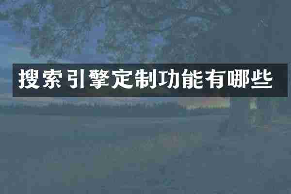 搜索引擎定制功能有哪些