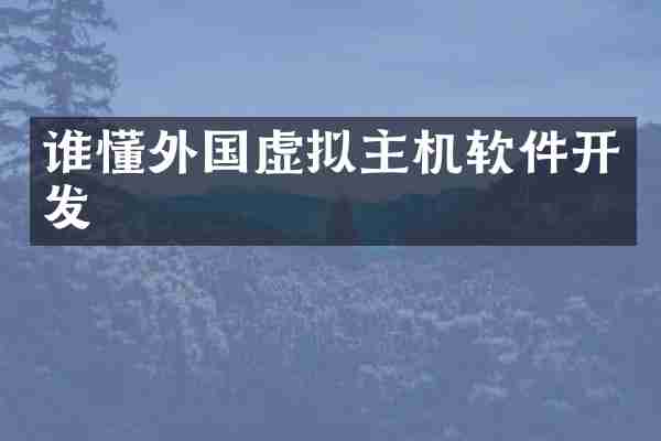 谁懂外国虚拟主机软件开发