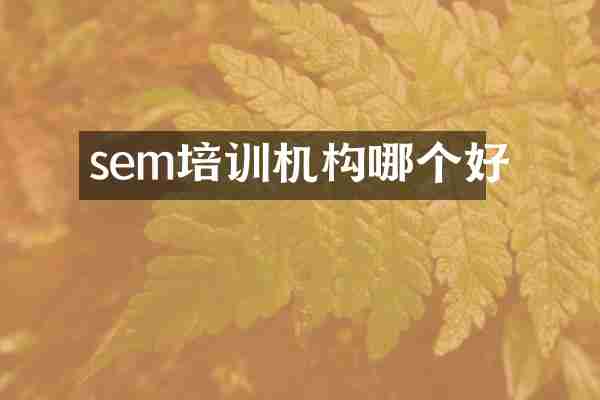sem培训机构哪个好