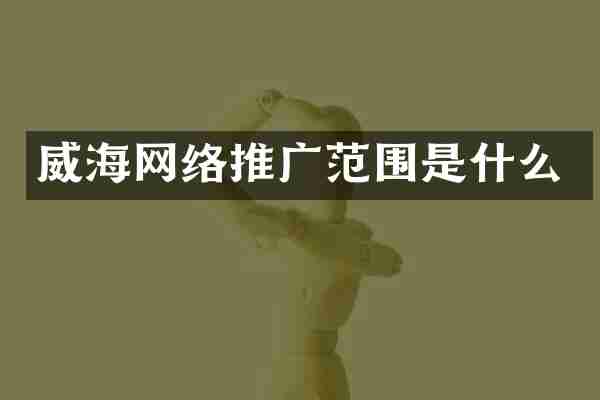 威海网络推广范围是什么