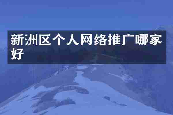 新洲区个人网络推广哪家好