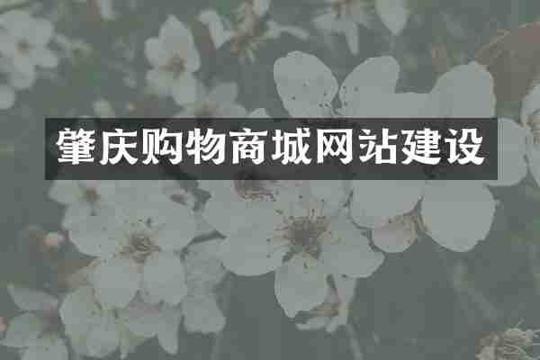 肇庆购物商城网站建设