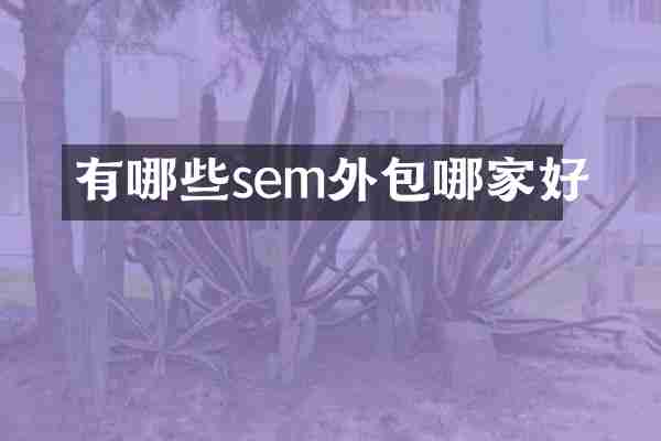 有哪些sem外包哪家好